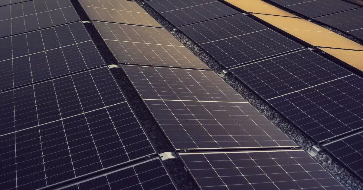 Instalación de placas solares en industria para generar energía renovable y reducir gastos empresariales con Perfecta Energía